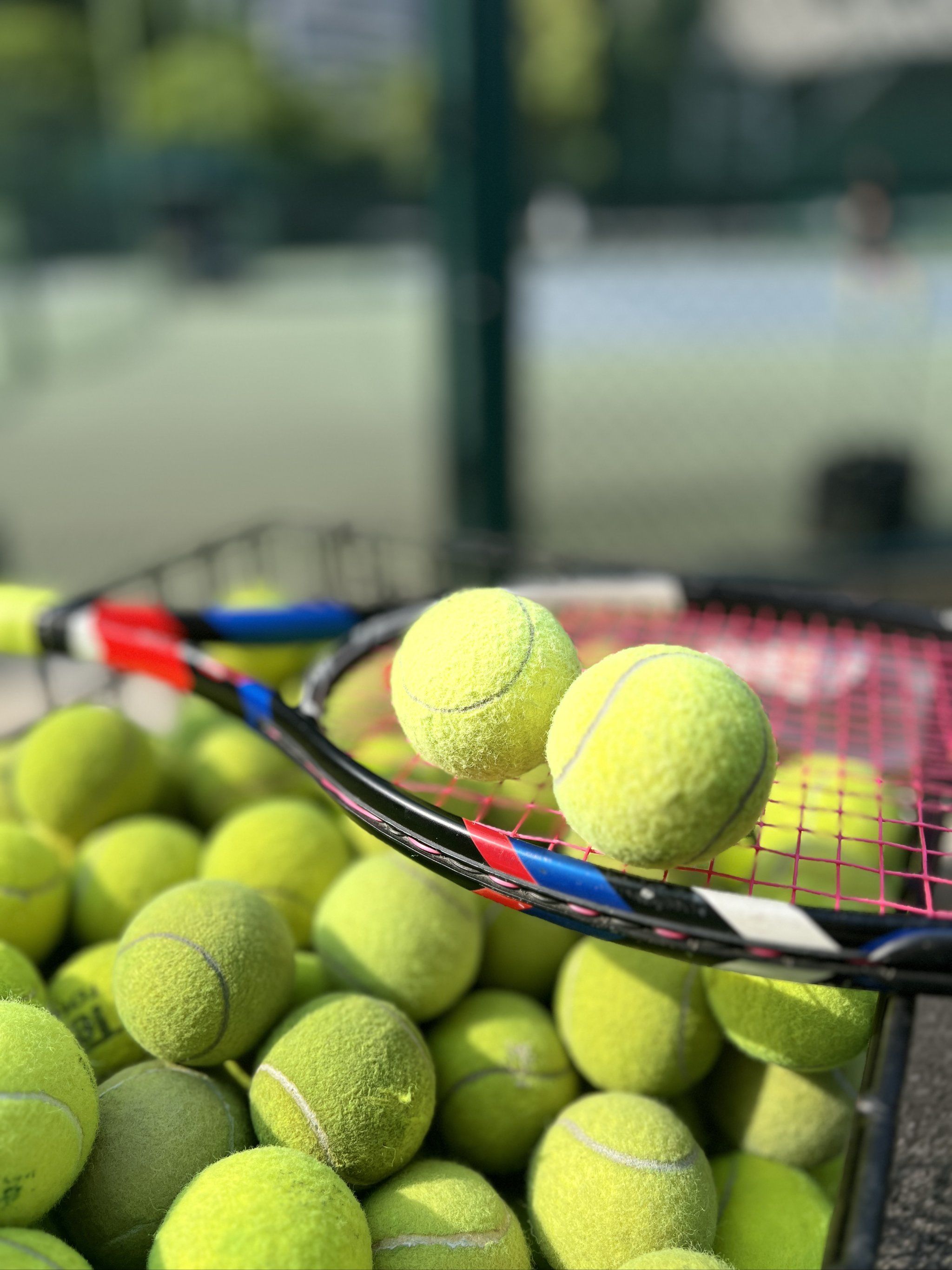 此前观察显 此前观察显