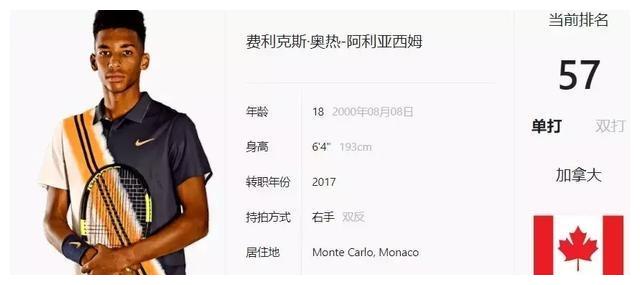 体现出整体 体现出整体